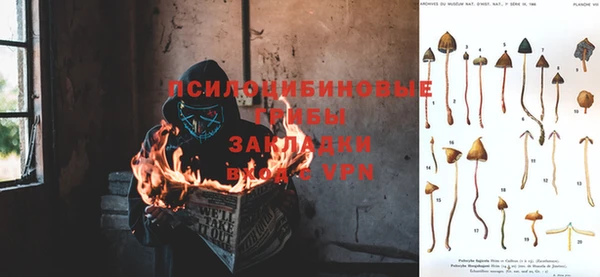 ALPHA PVP Бородино