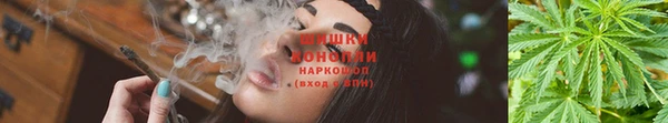 apvp Верхний Тагил