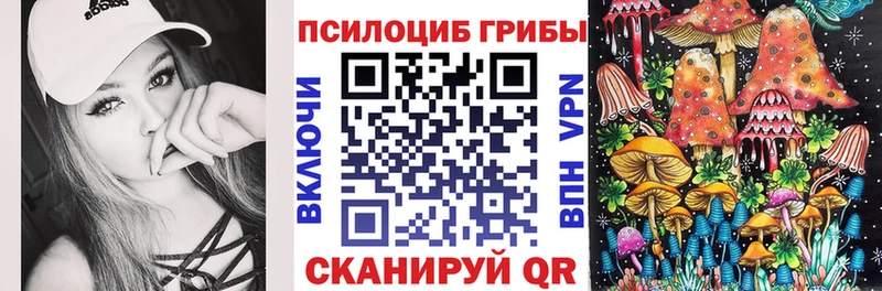 Псилоцибиновые грибы прущие грибы  закладка  Медногорск 